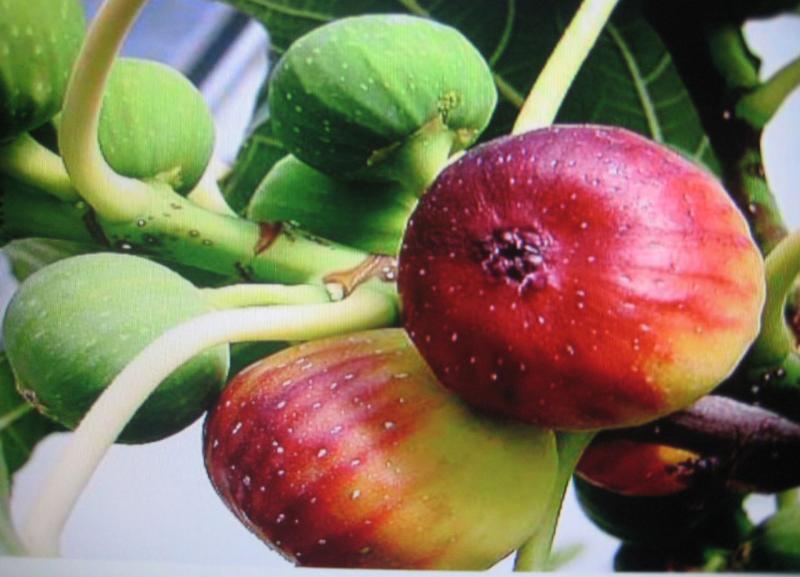 月經期不宜做劇烈運動